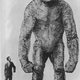 Image for article titled 100 Wonderful and Terrible Movies That Never Existed